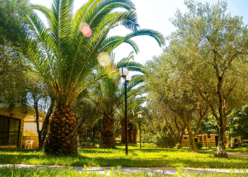 03.the Garden Villagemare Hotel